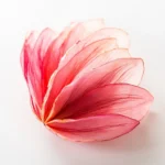 Torch ginger flower